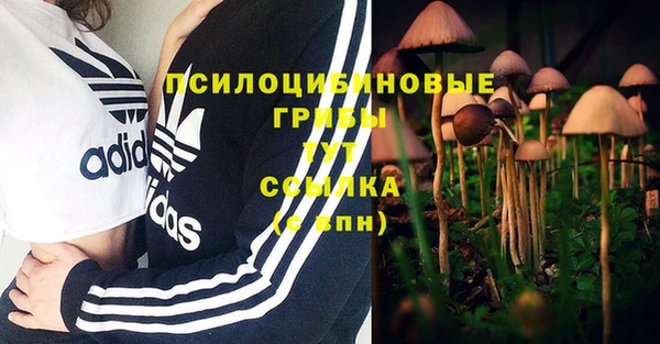 мет Нея