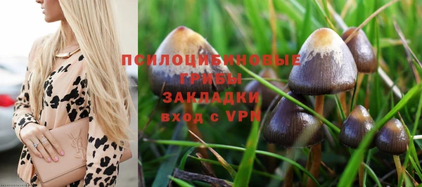 ALPHA-PVP Нефтегорск