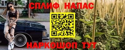 прущие крисы Кингисепп