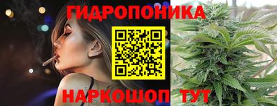 a pvp Кимры