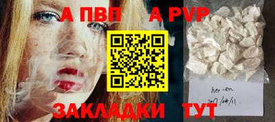 прущие крисы Кингисепп