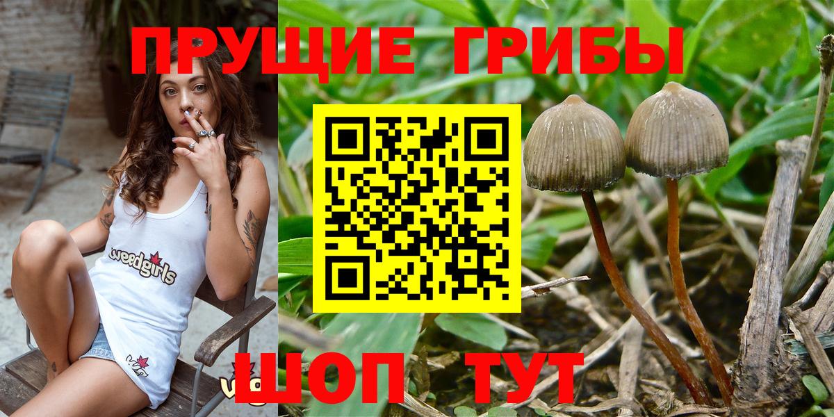 Лиски  Галлюциногенные грибы мицелий  Галлюциногенные грибы Psilocybine cubensis  Вход с VPN 
