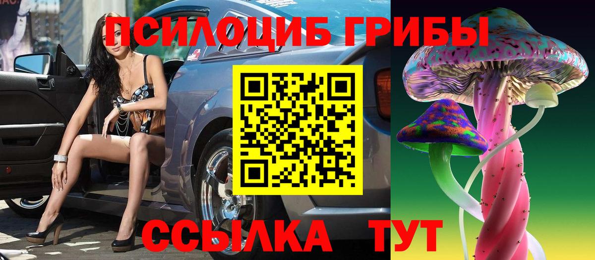 Галлюциногенные грибы Psilocybine cubensis Лиски